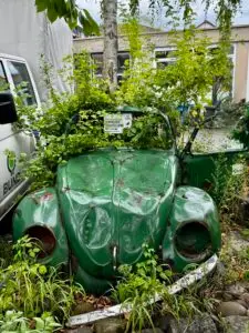 Projekt BUND